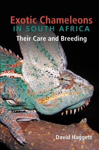 Exotic Chameleons in South Africa: Their Care and Breeding - Click to Buy