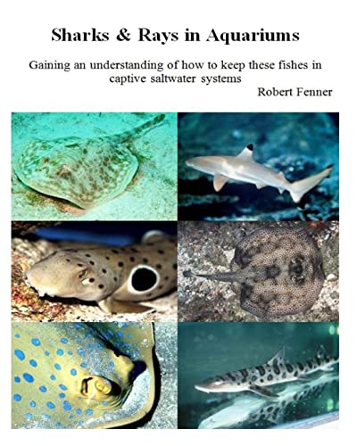 Sharks & Rays in Aquariums: Gaining an understanding of how to keep these fishes in captive saltwater systems (Aquarium Success) - Click to Buy
