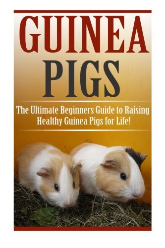 Guinea Pigs: The Ultimate Beginner's Guide to Raising Healthy Guinea Pigs for Life! (Guinea Pigs - Guinea Pig Care - Guinea Pig Books - Guinea Pig Nutrition - Guinea Pigs for Beginners) - Click to Buy
