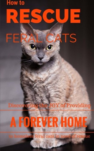 How To Rescue Feral Cats: Discovering the Joy of Providing a Forever Home to Homeless Feral Cats in Need of Rescue - Click to Buy