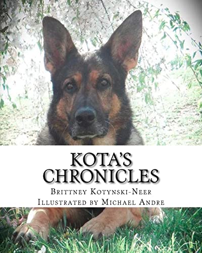 Kota's Chronicles - Click to Buy