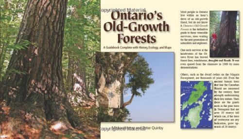 Ontario's Old Growth Forests