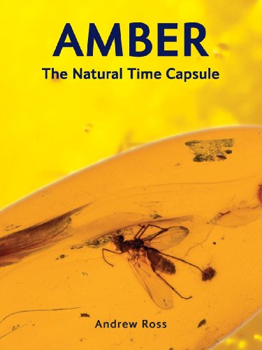 Amber: The Natural Time Capsule - Click to Buy