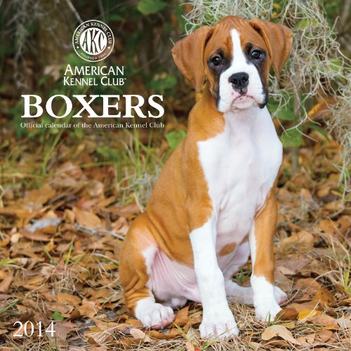 Boxers - American Kennel Club 2014 Calendar - Click to Buy
