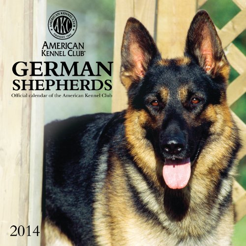 German Shepherds - American Kennel Club 2014 Calendar - Click to Buy