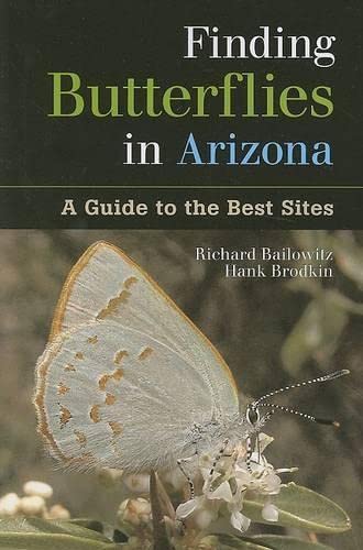 Finding Butterflies in Arizona: A Guide to the Best Sites - Click to Buy