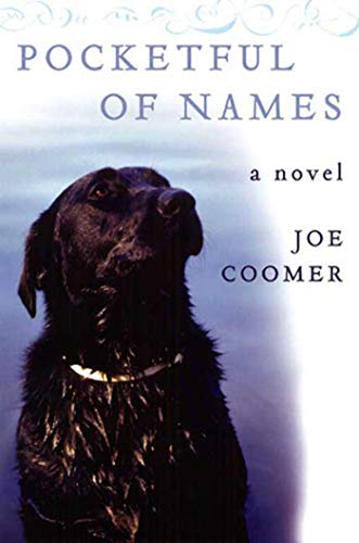 Pocketful Of Names: A Novel - Click to Buy