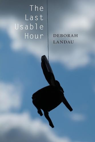The Last Usable Hour - Click to Buy