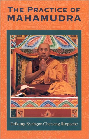 The Practice of Mahamudra