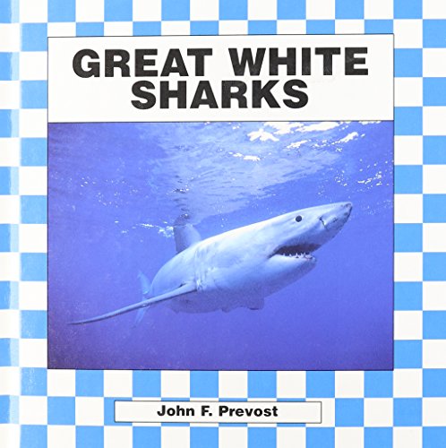 Great White Sharks - Click to Buy