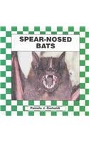 Spear-Nosed Bats - Click to Buy