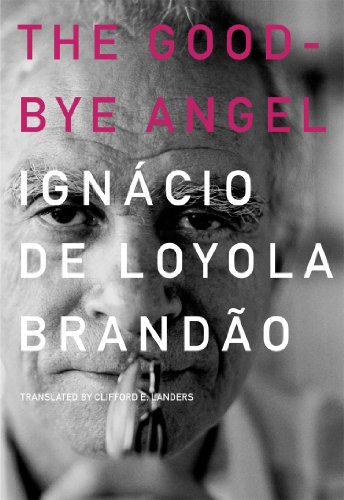 Good-Bye Angel: Honest Cheats Play Dirty Games Clean (Brazilian Literature) - Click to Buy