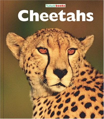 Cheetahs: Big Cats - Click to Buy