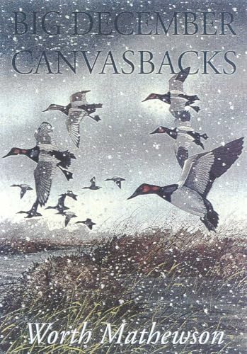 Big December Canvasbacks, Revised - Click to Buy