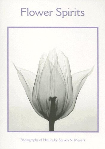 Flower Spirits Boxed Notecards - Click to Buy
