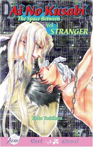 Ai No Kusabi The Space Between Volume 1: Stranger (Yaoi Novel) (AI NO KUSABI SPACE BETWEEN NOVEL) - Click to Buy