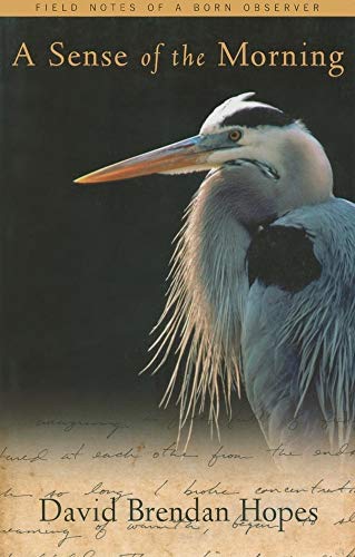 A Sense of the Morning: Field Notes of a Born Observer - Click to Buy