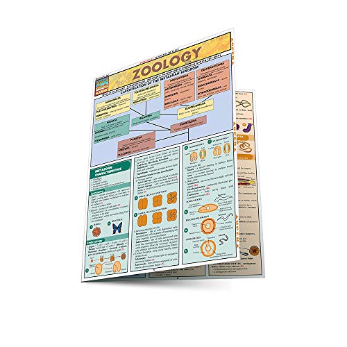 Zoology - Click to Buy