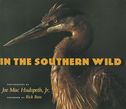 In the Southern Wild - Click to Buy
