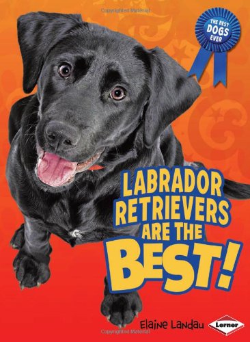Labrador Retrievers Are the Best! - Click to Buy