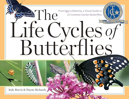 The Life Cycles of Butterflies: From Egg to Maturity, a Visual Guide to 23 Common Garden Butterflies - Click to Buy