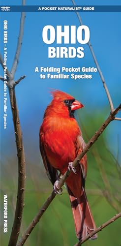 Ohio Birds: A Folding Pocket Guide to Familiar Species (Nature Observation North America) - Click to Buy