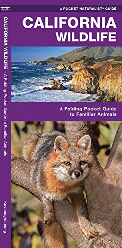 California Wildlife: A Folding Pocket Guide to Familiar Animals (Nature Observation North America)