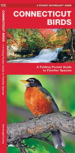 Connecticut Birds: A Folding Pocket Guide to Familiar Species - Click to Buy