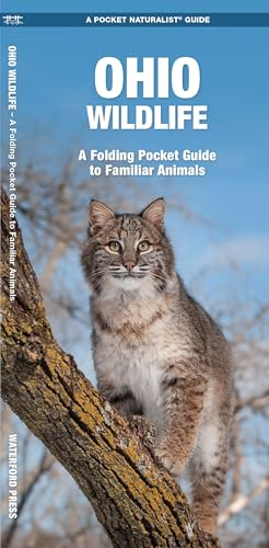 Ohio Wildlife: A Folding Pocket Guide to Familiar Animals (Nature Observation North America) - Click to Buy