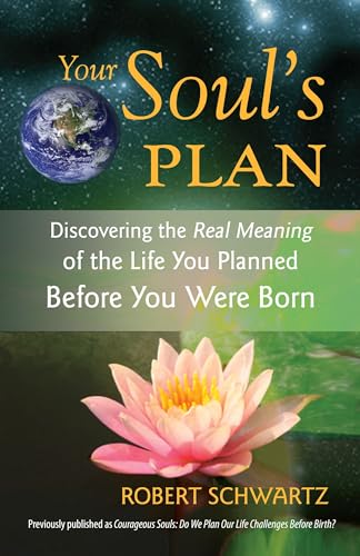Your Soul's Plan: Discovering the Real Meaning of the Life You Planned Before You Were Born - Click to Buy
