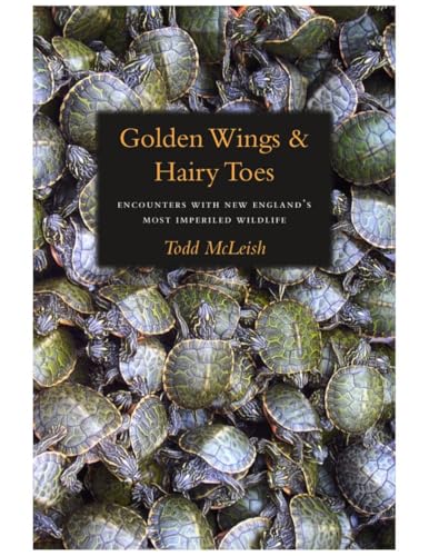 Golden Wings & Hairy Toes: Encounters with New England's Most Imperiled Wildlife
