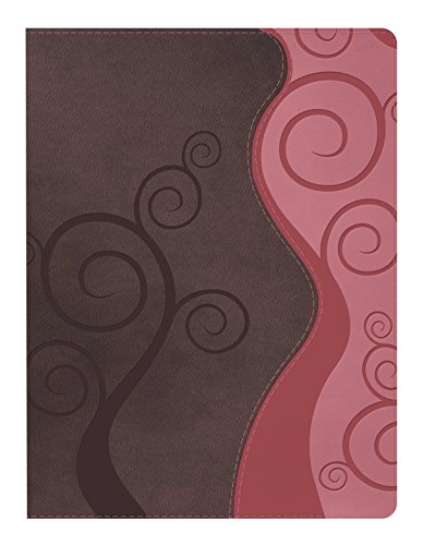 Apologetics Study Bible For Students, Espresso/Coral - Click to Buy