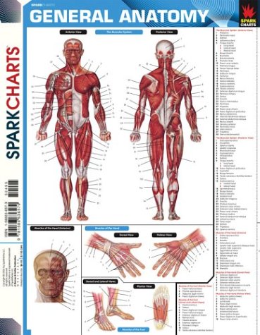 General Anatomy (SparkCharts) - Click to Buy