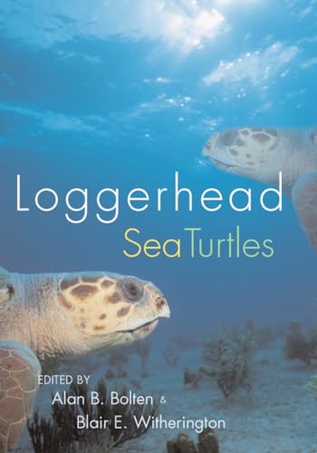 Loggerhead Sea Turtles - Click to Buy