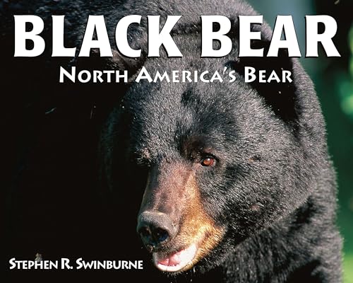 Black Bear: North America's Bear - Click to Buy