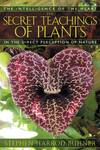 The Secret Teachings of Plants: The Intelligence of the Heart in the Direct Perception of Nature - Click to Buy