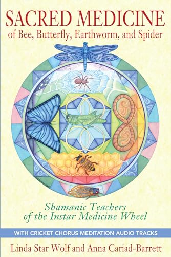 Sacred Medicine of Bee, Butterfly, Earthworm, and Spider: Shamanic Teachers of the Instar Medicine Wheel