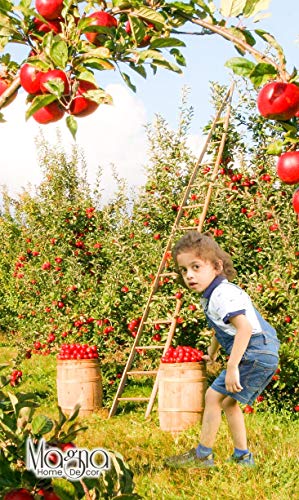 Learning to Slow Down and Pay Attention: A Book for Kids About Adhd - Click to Buy