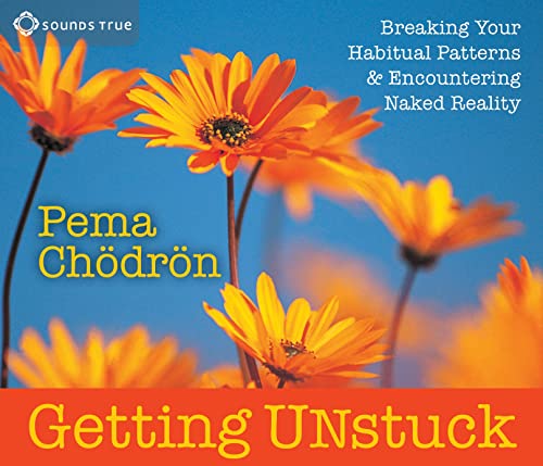 Getting Unstuck: Breaking Your Habitual Patterns and Encountering Naked Reality - Click to Buy