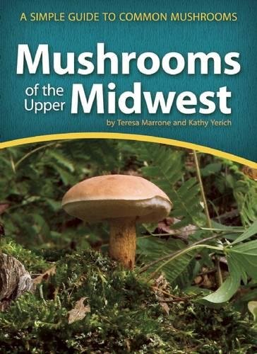 Mushrooms of the Upper Midwest: A Simple Guide to Common Mushrooms