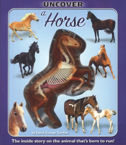Uncover a Horse (Uncover Books) - Click to Buy