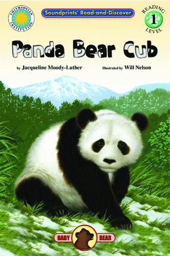 Panda Bear Cub - Click to Buy