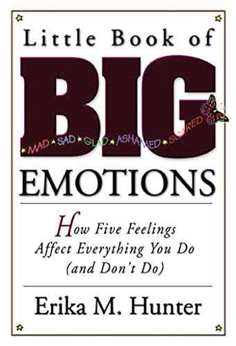 Little Book of Big Emotions: How Five Feelings Affect Everything You Do (and Don't Do) - Click to Buy