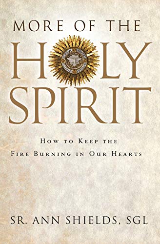 More of the Holy Spirit: How to Keep the Fire Burning in Our Hearts - Click to Buy