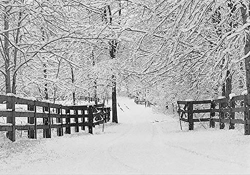 Mini Box: Winter Tracks