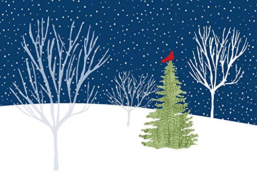 Midnight Cardinal Boxed Christmas Cards (Christmas Cards, Holiday Cards, Greeting Cards) - Click to Buy
