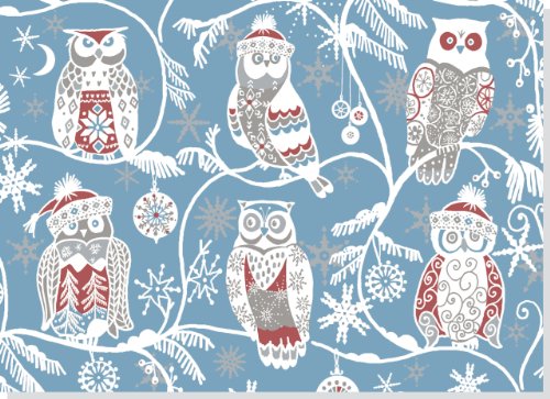 Santa Owls Deluxe Boxed Holiday Cards - Click to Buy