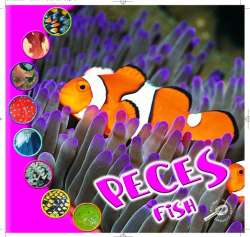 Peces: Fish (Que Es Un Animal? Biblioteca Del Descubrimiento/what Is an Animal? Discovery Library) - Click to Buy