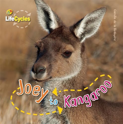 Joey to Kangaroo - Click to Buy