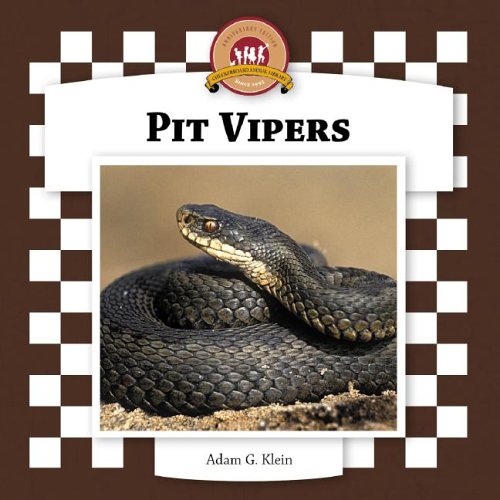Pit Vipers - Click to Buy